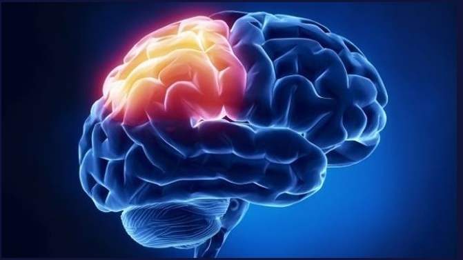 Глиоз головного мозга: что это такое, прогноз жизни и выбор лечения