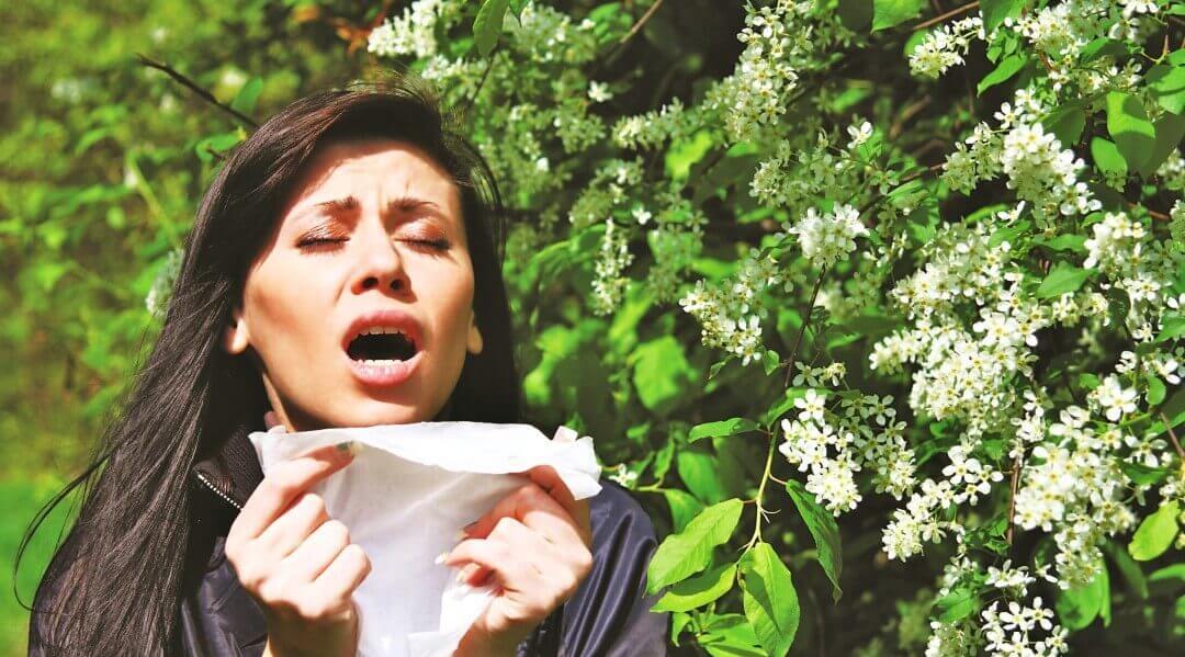 Как убрать аллергию на пыльцу