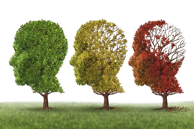 Болезнь альцгеймера симптомы и признаки причины лечение