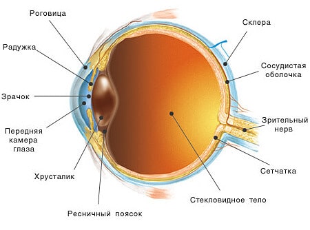 Лечение царапин роговицы глаза