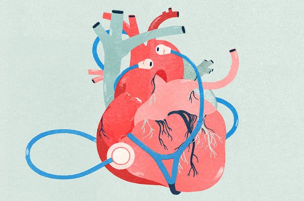 Болезни сердца и их лечение доклад