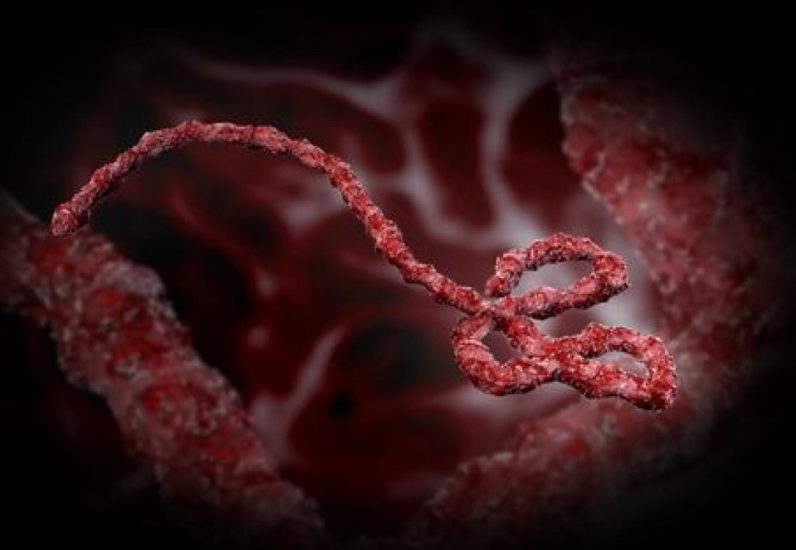 Как вылечить болезнь эбола